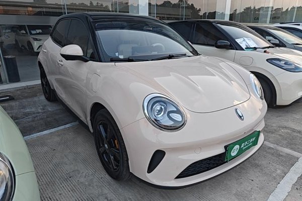ORA Good Cat 2025, 7200 км, за 14496 USD - фото 25