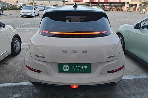 ORA Good Cat 2025, 7200 км, за 14496 USD