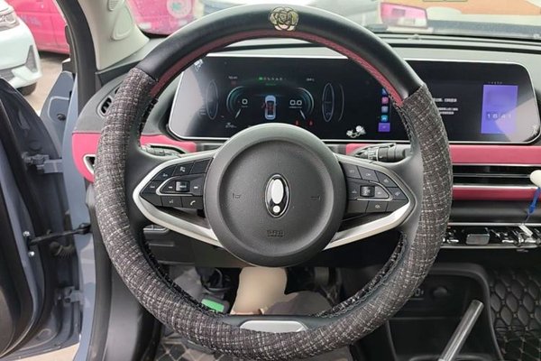 ORA Good Cat GT 2022, 23700 км, за 11579 USD - фото 13