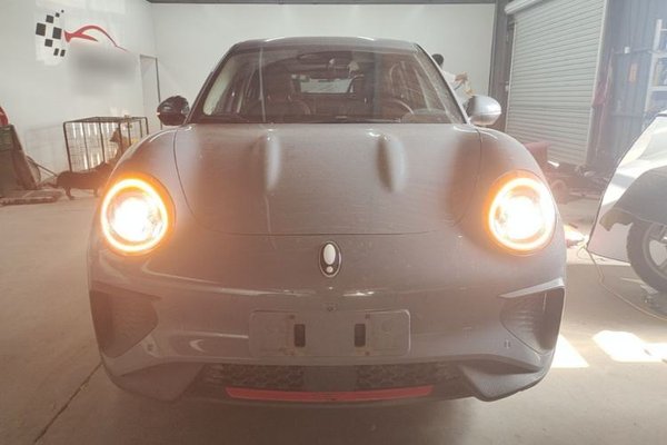 ORA Good Cat GT 2022, 37400 км, за 11090 USD