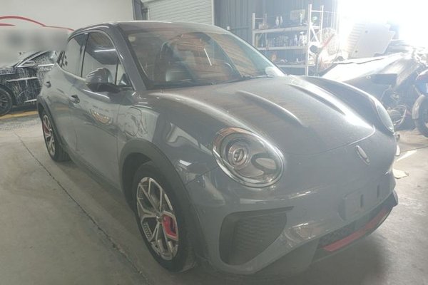 ORA Good Cat GT 2022, 37400 км, за 11090 USD