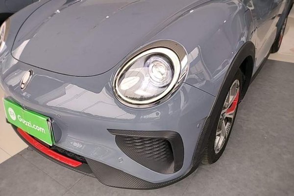 ORA Good Cat GT 2022, 42800 км, за 11985 USD - фото 9