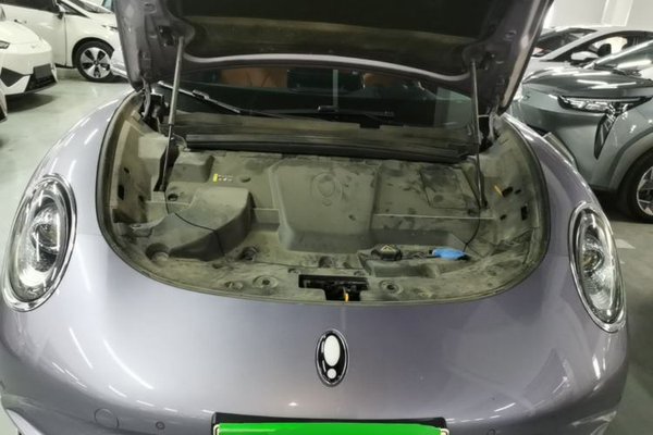 ORA Lightning Cat 2022, 118400 км, за 13816 USD - фото 24