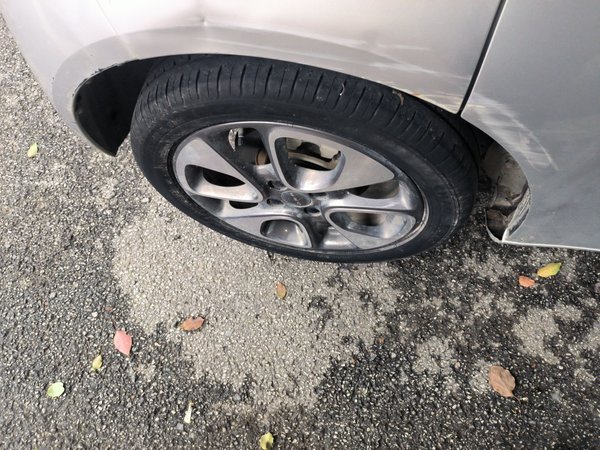 Ora White Cat 2020, 77400 км, за 5608 USD - фото 10