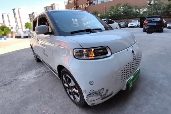 ORA White Cat 2020, 49600 км, за 6998 USD