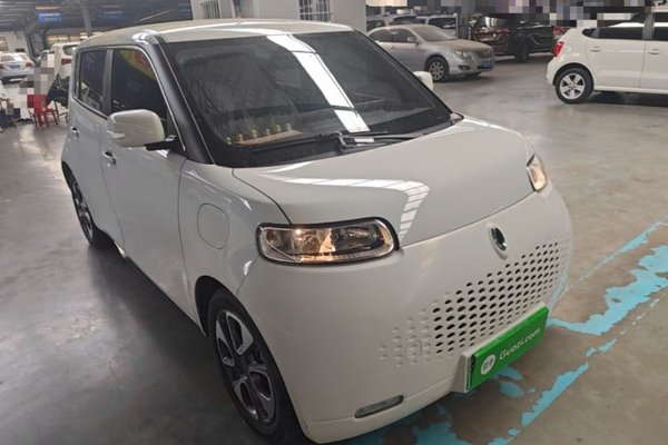 ORA White Cat 2020, 55900 км, за 6893 USD
