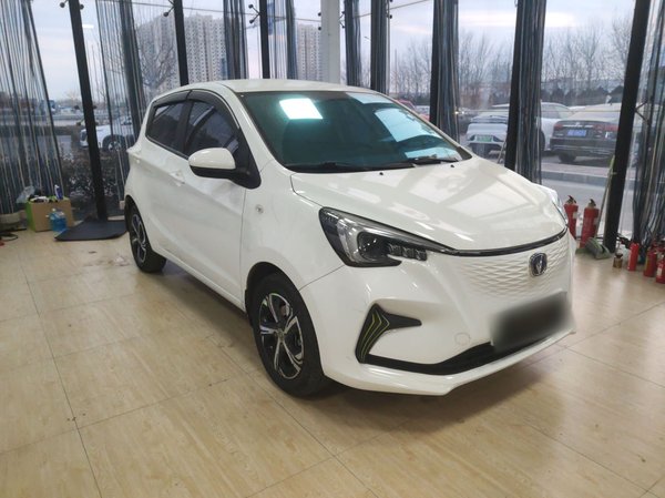 Oshan Benni E-Star 2022, 58400 км, за 6948 USD - фото 6