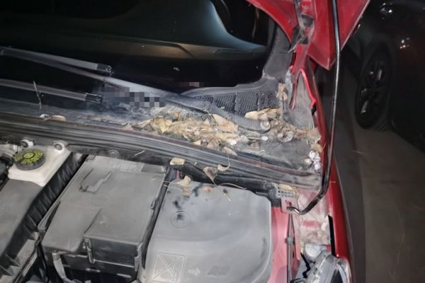 Peugeot 308 2014, 54200 км, за 2139 USD - фото 22