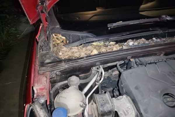 Peugeot 308 2014, 54200 км, за 2139 USD - фото 23