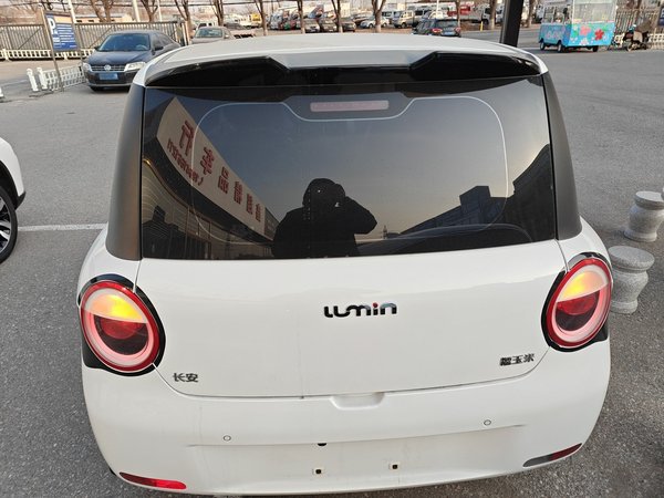 Qiyuan Lumin 2025, 8000 км, за 6511 USD