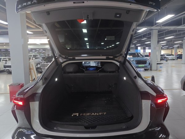 Rising F7 2023, 76300 км, за 19093 USD - фото 25