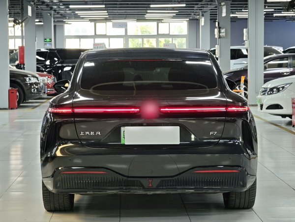 Rising F7 2023, 76300 км, за 19093 USD - фото 11