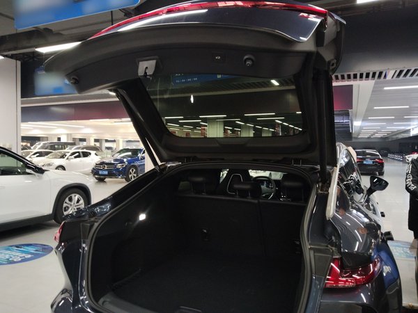 Rising R7 2022, 200 км, за 15590 USD - фото 18