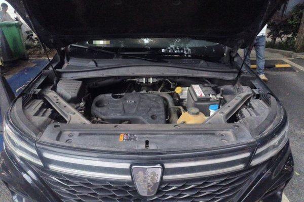 Roewe RX5 MAX 2021, 85000 км, за 7025 USD - фото 21