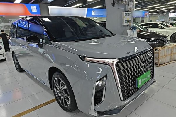 SAIC MAXUS G90 2022, 37100 км, за 21403 USD - фото 24