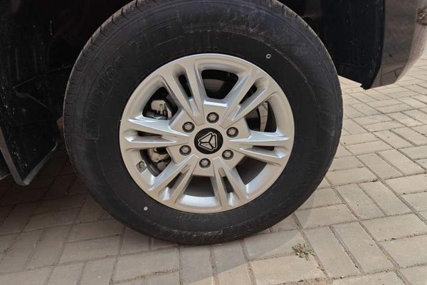 Sinotruk BOLDEN 2024, 400 км, за 17550 USD - фото 8