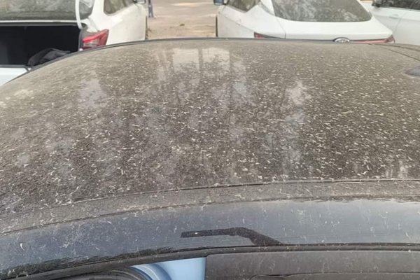 SOL E10X 2021, 69700 км, за 5856 USD