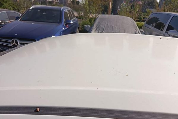 Suzuki Alivio 2015, 181300 км, за 4417 USD - фото 7