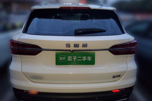 SWM G01 2019, 98800 км, за 5093 USD