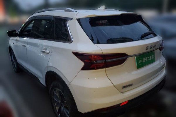 SWM G01 2019, 98800 км, за 5093 USD