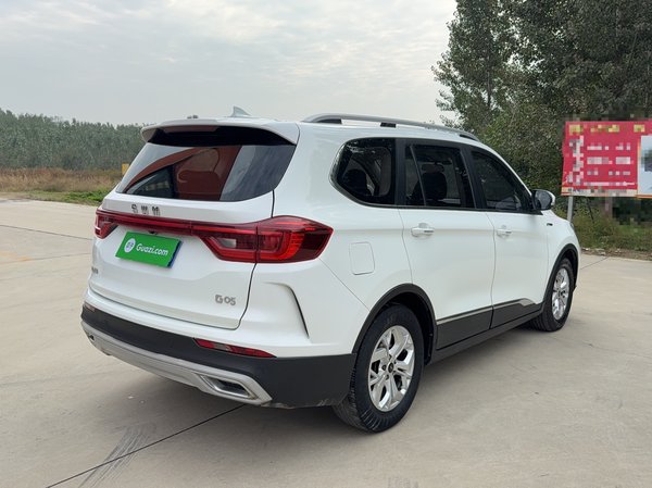 SWM G05 2019, 108200 км, за 5559 USD - фото 12