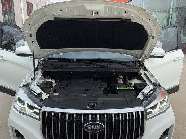 SWM G05 2019, 108200 км, за 5559 USD - фото 18