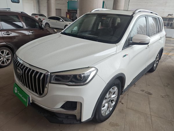 SWM G05 2019 1.5T Automatic Elite Edition