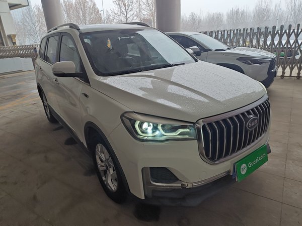 SWM G05 2019 1.5T Automatic Elite Edition, 2019 года