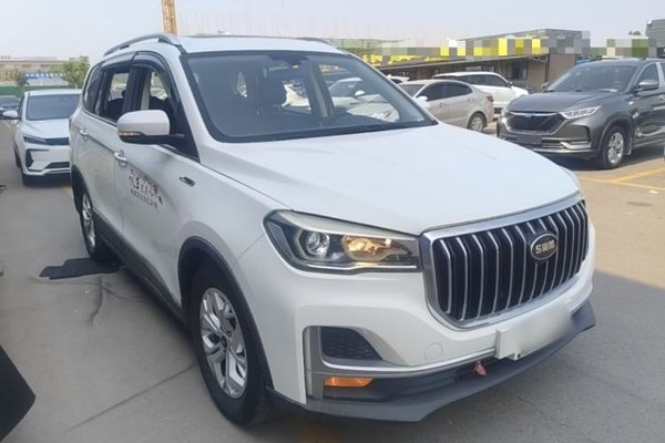 SWM G05 2019, 81600 км, за 5415 USD