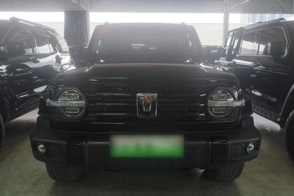 Tank 300 New Energy 2024, 53100 км, за 29510 USD