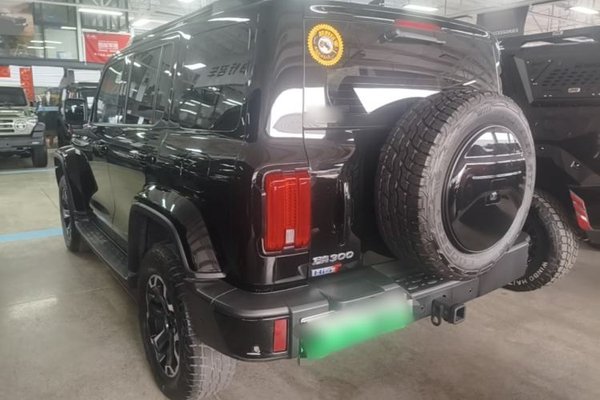 Tank 300 New Energy 2024, 53100 км, за 29510 USD