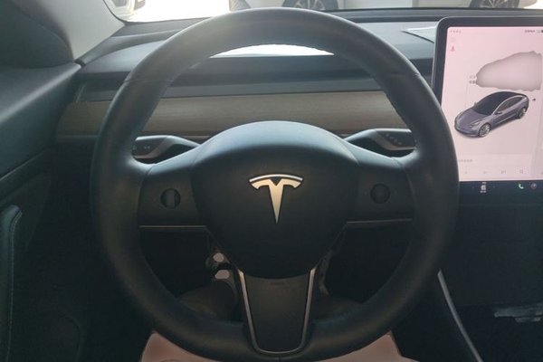 Tesla Model 3 2019, 95500 км, за 17289 USD - фото 13