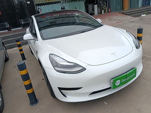 Tesla Model 3 2019, 66300 км, за 16766 USD