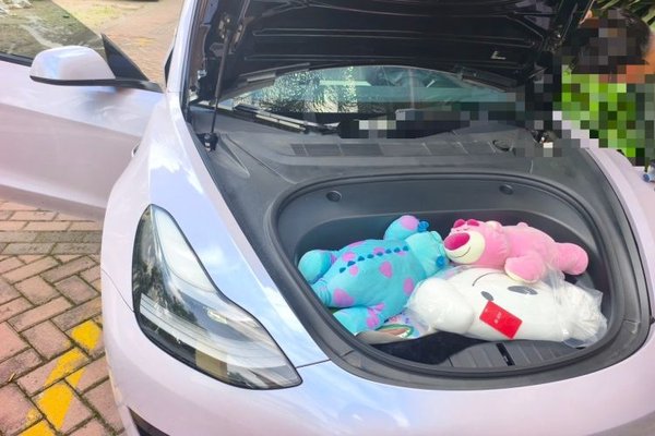 Tesla Model 3 2021, 72200 км, за 17506 USD - фото 12