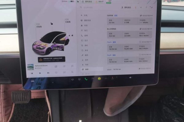 Tesla Model 3 2021, 75700 км, за 18794 USD - фото 14