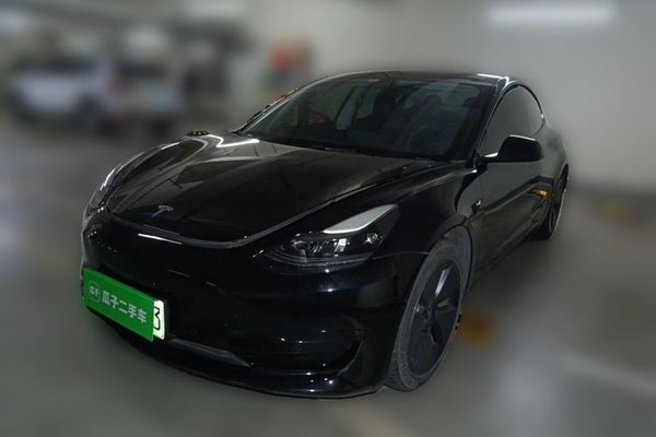 Tesla Model 3 · 2021 год