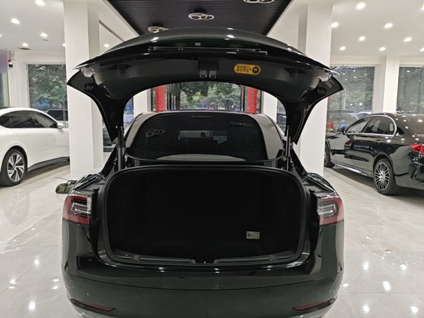 Tesla Model 3 2021, 115200 км, за 19583 USD - фото 22