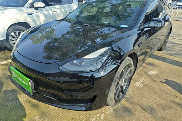 Tesla Model 3 · 2021 год