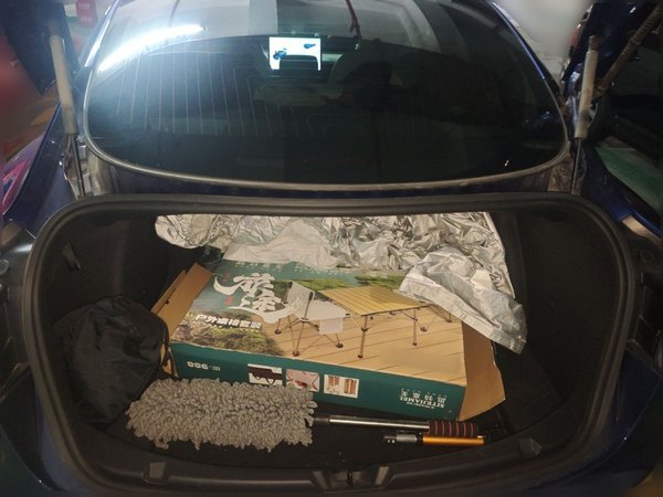 Tesla Model 3 2021, 43300 км, за 18376 USD - фото 20