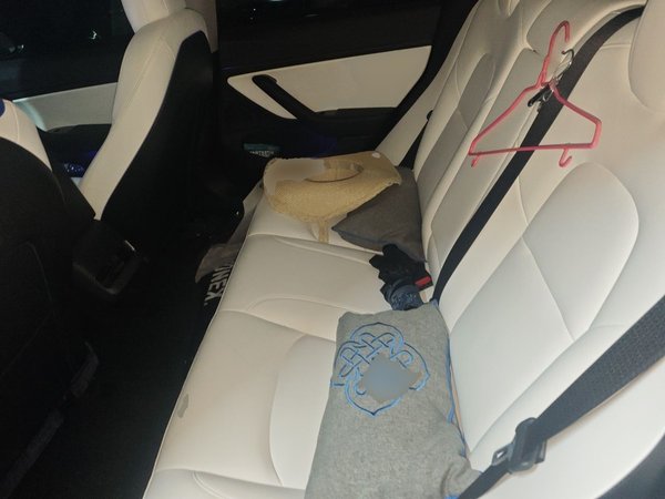 Tesla Model 3 2021, 43300 км, за 18376 USD - фото 18