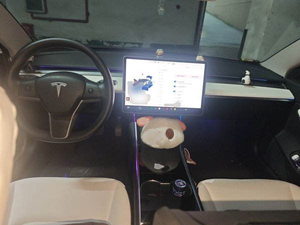 Tesla Model 3 2021, 43300 км, за 18376 USD - фото 10