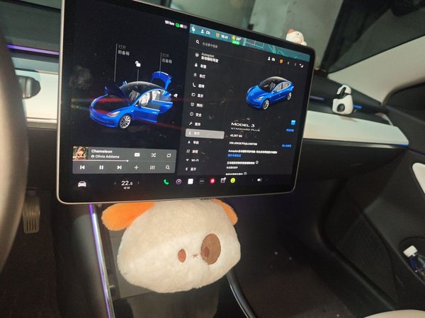 Tesla Model 3 2021, 43300 км, за 18376 USD - фото 14