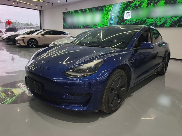 Tesla Model 3 · 2021 год