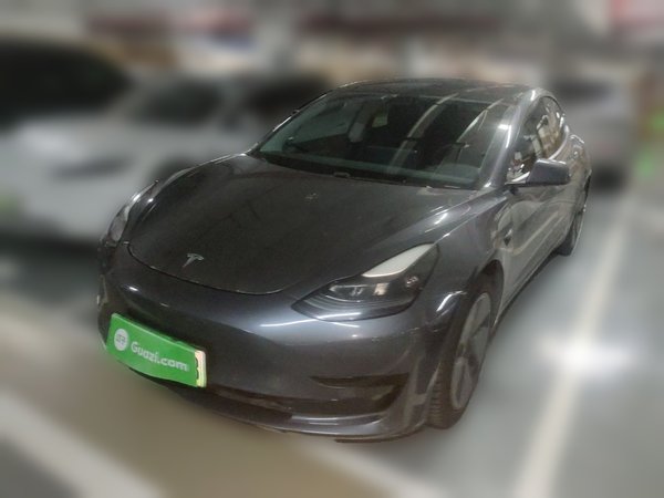 Tesla Model 3 · 2021 год