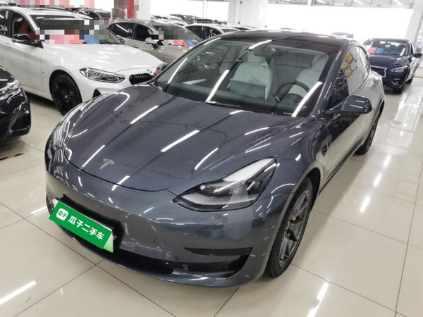 Tesla Model 3 · 2021 год