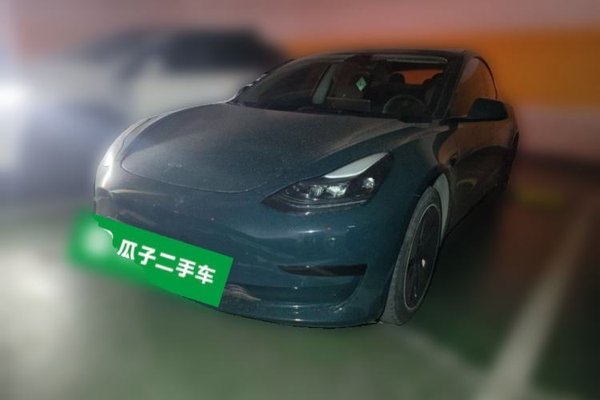 Tesla Model 3 · 2021 год