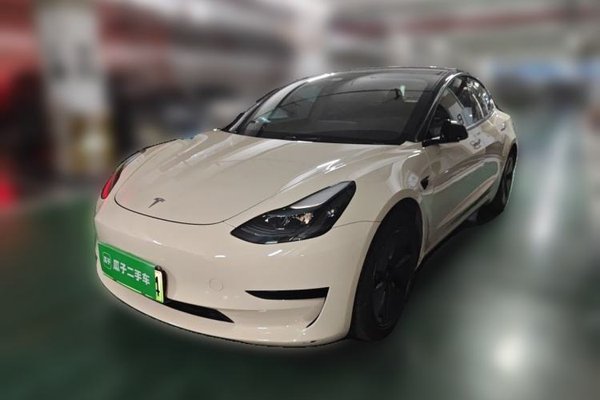 Tesla Model 3 · 2021 год