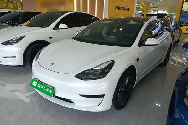 Tesla Model 3 · 2021 год