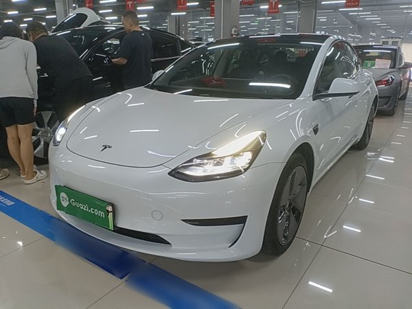 Tesla Model 3 · 2021 год