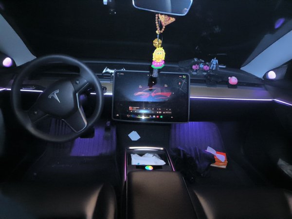 Tesla Model 3 2022, 49300 км, за 22905 USD - фото 9